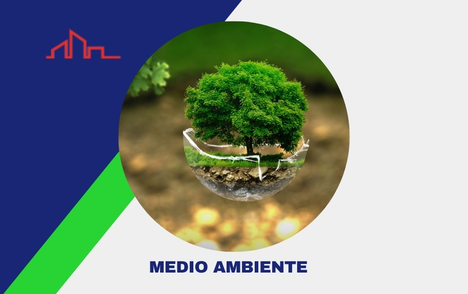 Medio Ambiente