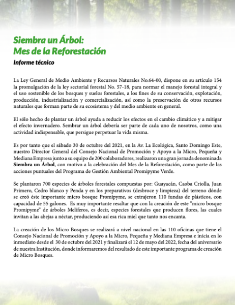 62 Informe02